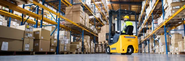 what-is-wms-light-advanced-warehousing-software
