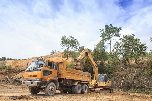Palm oil manufacturers are experiencing public and federal scrutiny for deforestation.