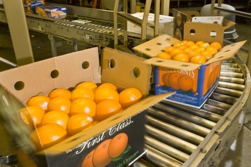 Perishable products have to be moved quickly through the supply chain.