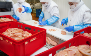 Legislation sets rules for food traceability that companies must comply with.